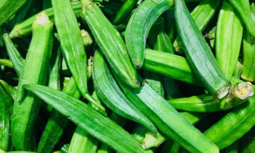 什么食物能滋阴助阳-滋阴助阳的食物-专业滋阴又补阳的中成药平台-滋阴助阳的意思